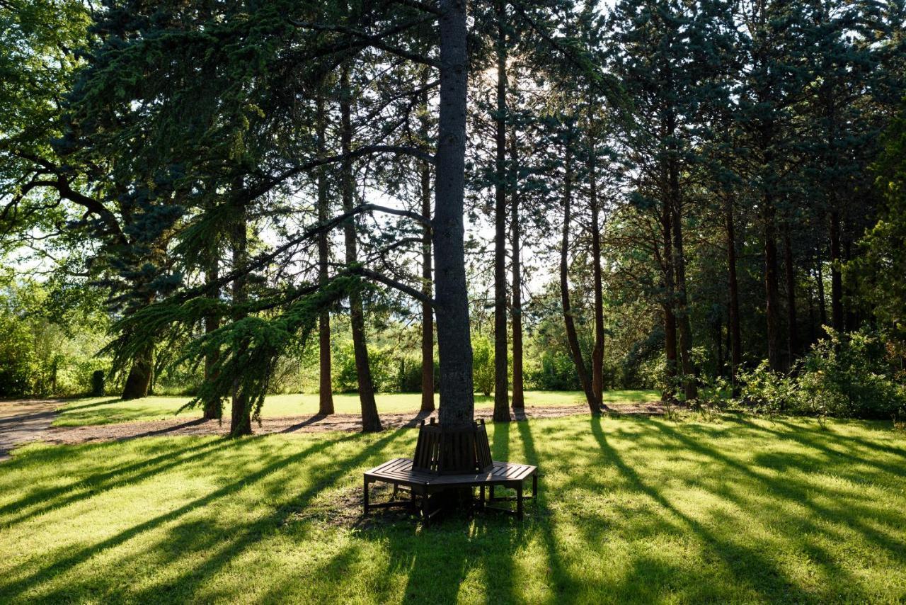 Agriturismo Villa Alari Cetona Eksteriør billede